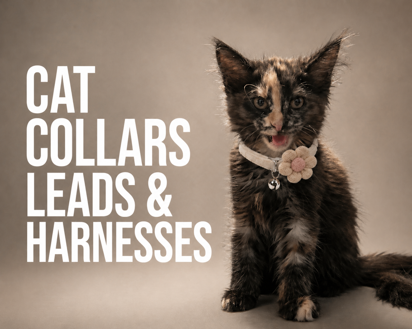 Cat Collars Leads & Harnesses
