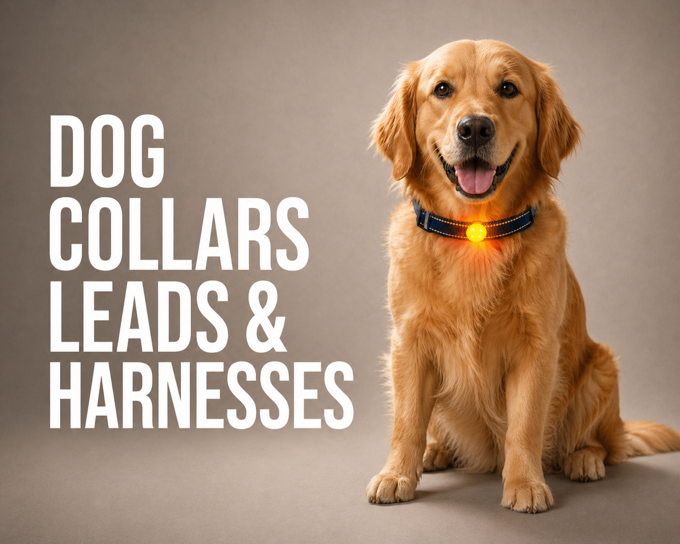 Dog Collars Leads & Harnesses