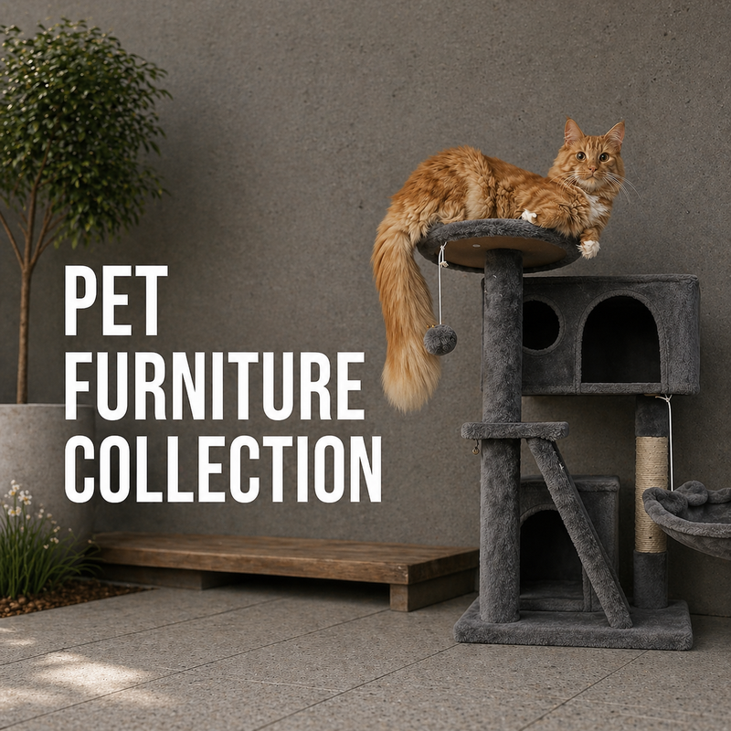 Pet Furniture
