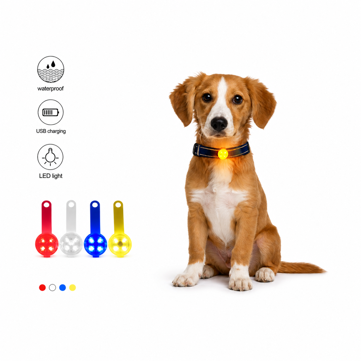 LED Safety Light Pet Collar | USB Rechargeable Weatherproof Glow Collar for Dogs & Cats