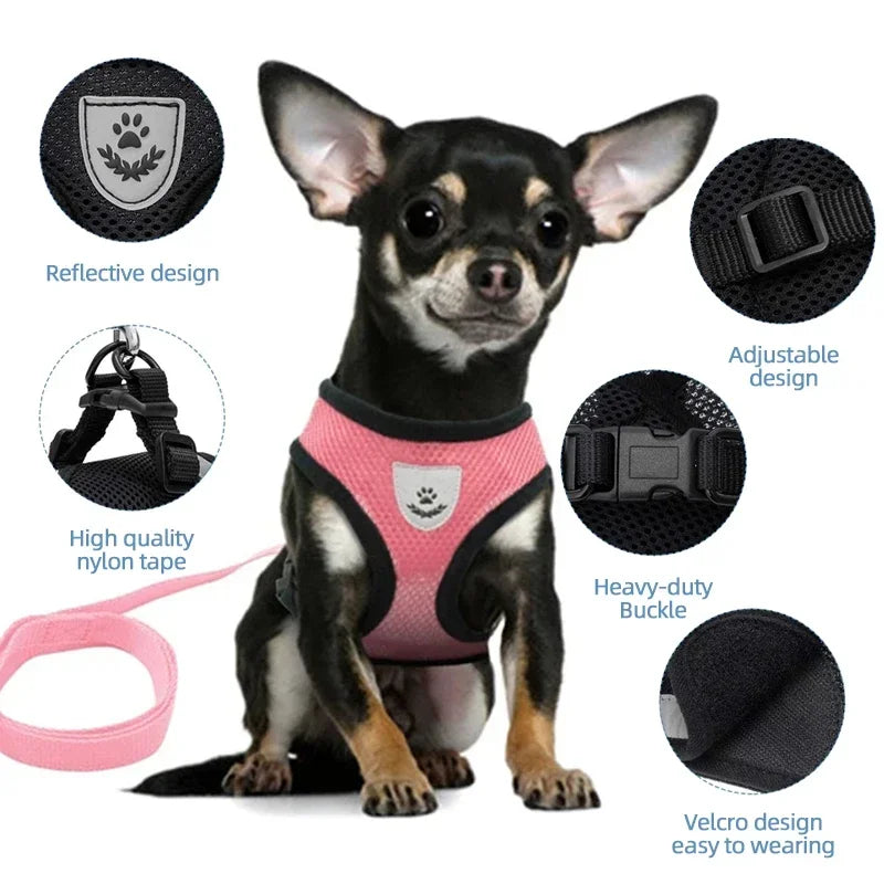 Cat & Dog Harness Vest with Lead | Adjustable Reflective Mesh Harness for Small & Medium Pets