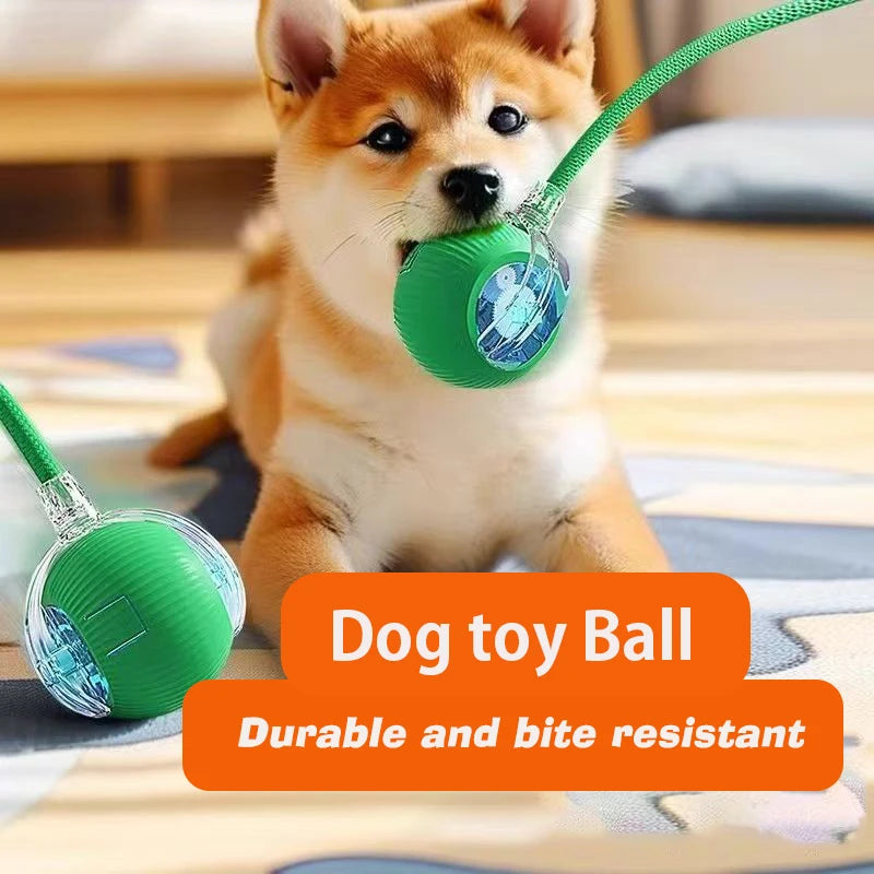 Smart Interactive Rolling Ball Toy for Dogs & Cats | Auto Obstacle Avoidance, 3 Play Modes