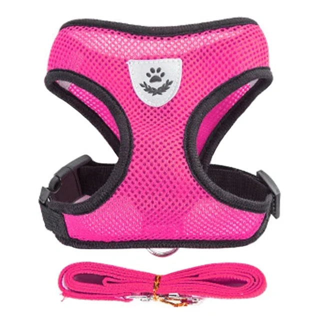 Cat & Dog Harness Vest with Lead | Adjustable Reflective Mesh Harness for Small & Medium Pets