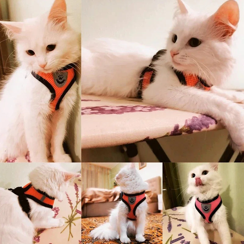 Cat & Dog Harness Vest with Lead | Adjustable Reflective Mesh Harness for Small & Medium Pets