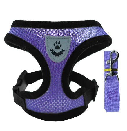 Cat & Dog Harness Vest with Lead | Adjustable Reflective Mesh Harness for Small & Medium Pets