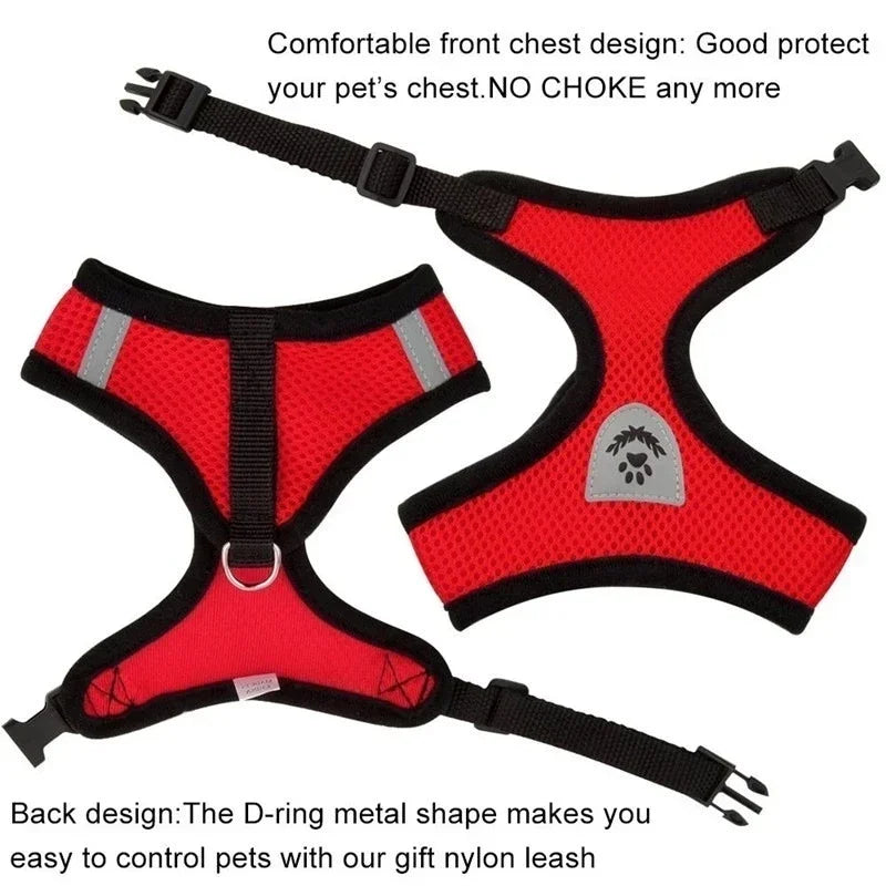 Cat & Dog Harness Vest with Lead | Adjustable Reflective Mesh Harness for Small & Medium Pets