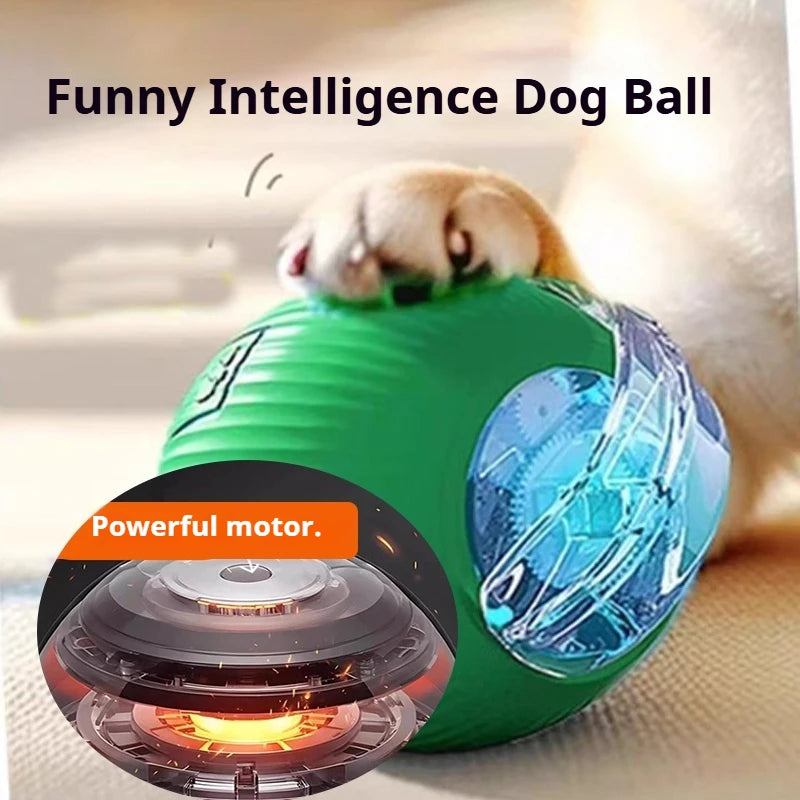 Smart Interactive Rolling Ball Toy for Dogs & Cats | Auto Obstacle Avoidance, 3 Play Modes