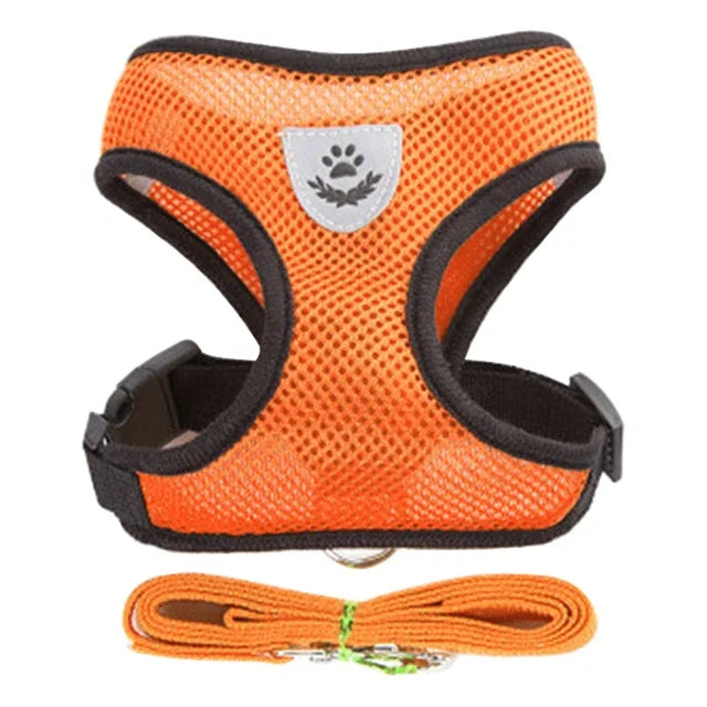 Cat & Dog Harness Vest with Lead | Adjustable Reflective Mesh Harness for Small & Medium Pets