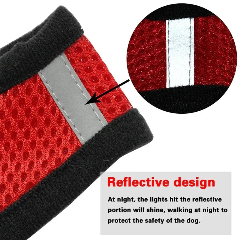 Cat & Dog Harness Vest with Lead | Adjustable Reflective Mesh Harness for Small & Medium Pets