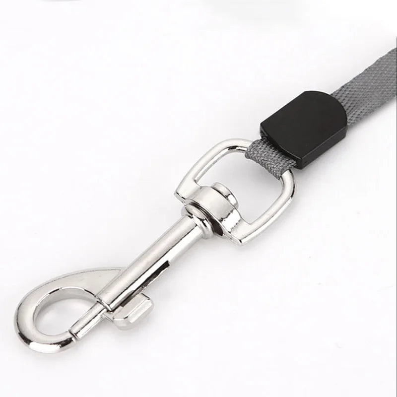 Retractable Dog & Cat Leash | 3m & 5m Nylon Lead for Small & Medium Dogs