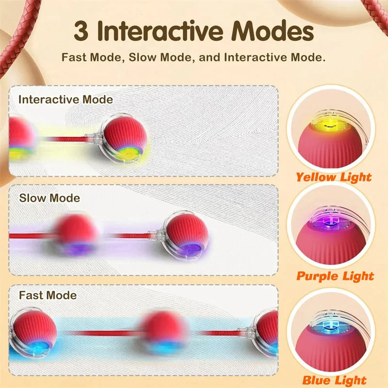 Smart Interactive Rolling Ball Toy for Dogs & Cats | Auto Obstacle Avoidance, 3 Play Modes