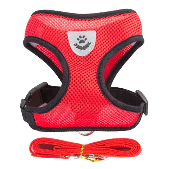 Cat & Dog Harness Vest with Lead | Adjustable Reflective Mesh Harness for Small & Medium Pets