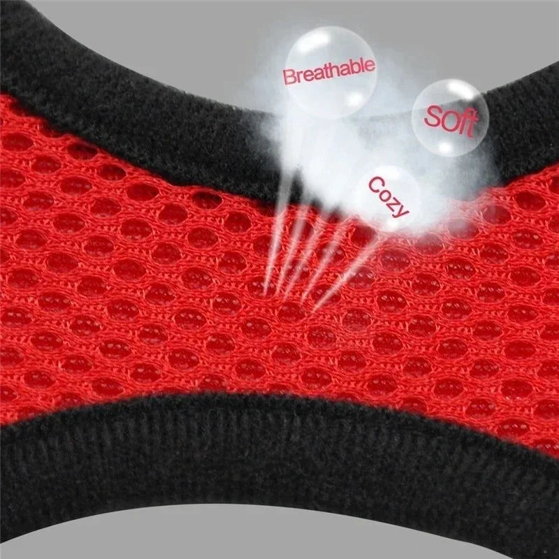 Cat & Dog Harness Vest with Lead | Adjustable Reflective Mesh Harness for Small & Medium Pets