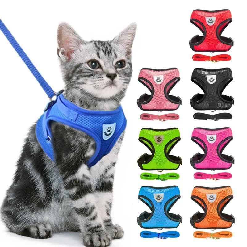 Cat & Dog Harness Vest with Lead | Adjustable Reflective Mesh Harness for Small & Medium Pets