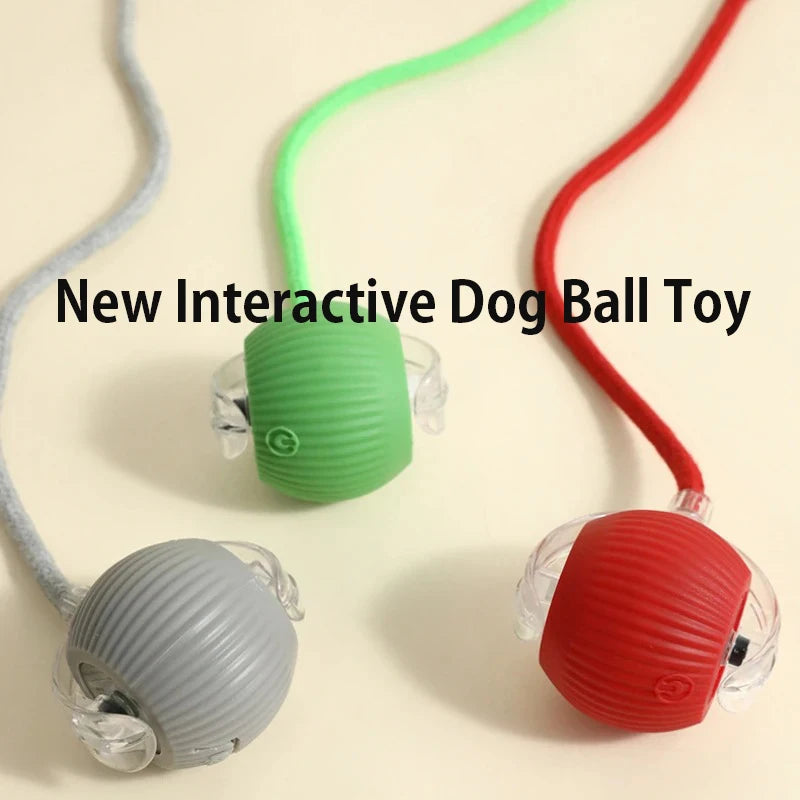 Smart Interactive Rolling Ball Toy for Dogs & Cats | Auto Obstacle Avoidance, 3 Play Modes