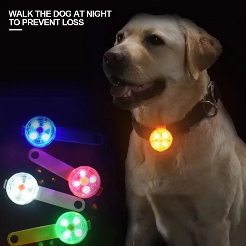 LED Safety Light Pet Collar | USB Rechargeable Weatherproof Glow Collar for Dogs & Cats