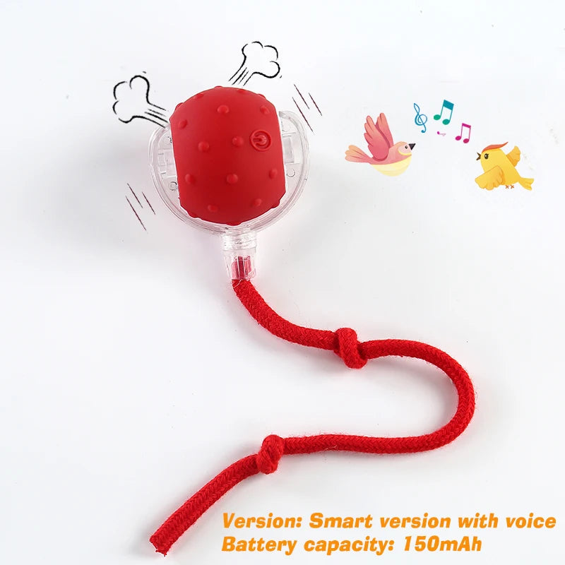 Smart Interactive Rolling Ball Toy for Dogs & Cats | Auto Obstacle Avoidance, 3 Play Modes