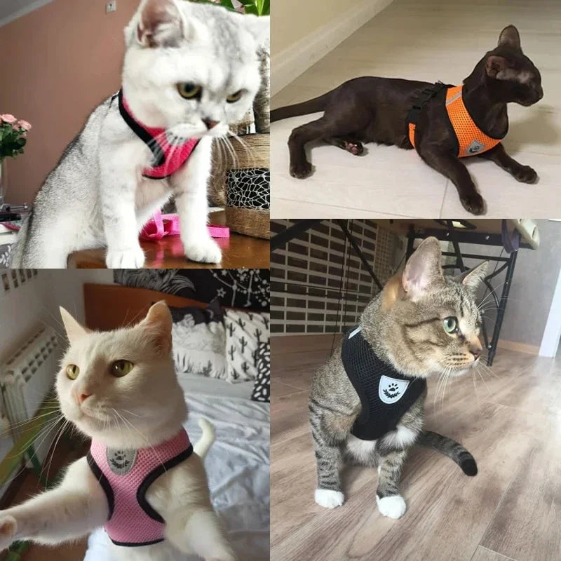 Cat & Dog Harness Vest with Lead | Adjustable Reflective Mesh Harness for Small & Medium Pets