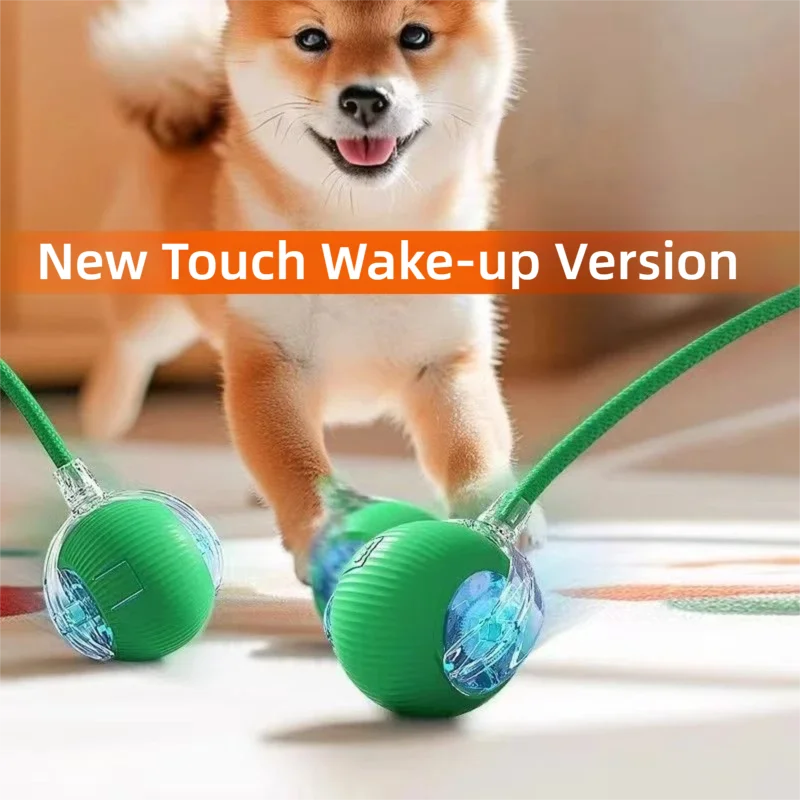 Smart Interactive Rolling Ball Toy for Dogs & Cats | Auto Obstacle Avoidance, 3 Play Modes