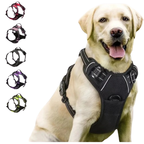Dog Vest Harness | Soft Adjustable No-Pull Harness for Small & Medium Dogs
