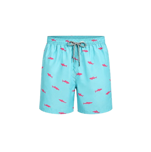 Men's Printed Beach Shorts