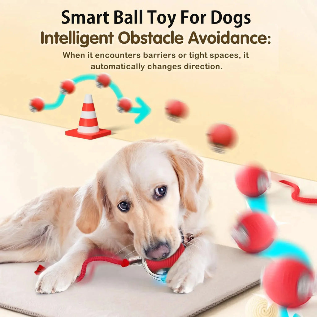 Smart Interactive Rolling Ball Toy for Dogs & Cats | Auto Obstacle Avoidance, 3 Play Modes