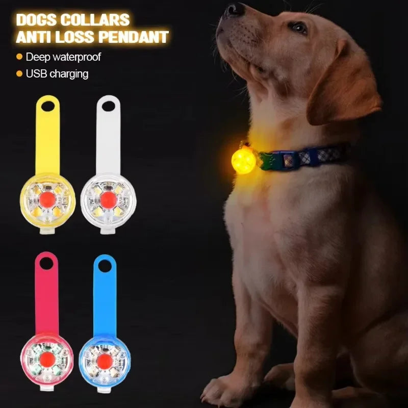 LED Safety Light Pet Collar | USB Rechargeable Weatherproof Glow Collar for Dogs & Cats