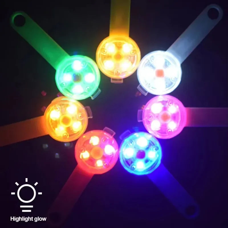 LED Safety Light Pet Collar | USB Rechargeable Weatherproof Glow Collar for Dogs & Cats