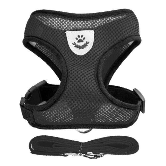 Cat & Dog Harness Vest with Lead | Adjustable Reflective Mesh Harness for Small & Medium Pets